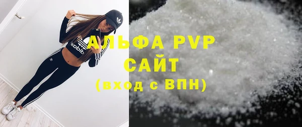 индика Кстово