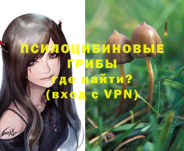 альфа пвп Алексеевка