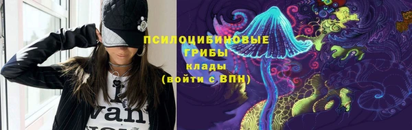 гидропоника Алзамай