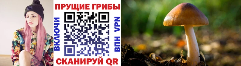 Галлюциногенные грибы прущие грибы Инта