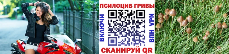 kraken вход  Инта  Галлюциногенные грибы MAGIC MUSHROOMS 